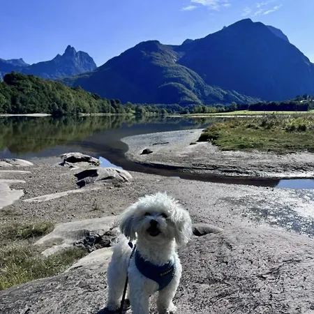 Проживание в семье Trollveggen