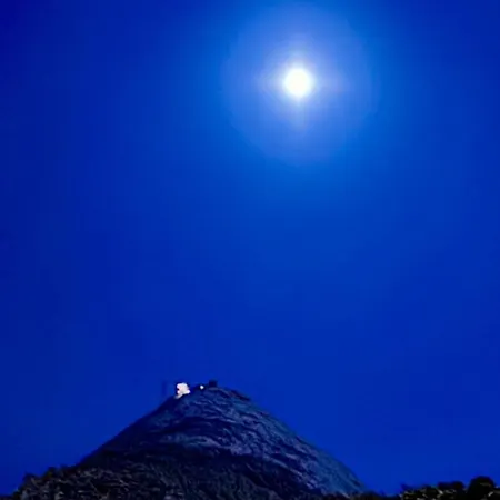 Trollveggen Проживание в семье