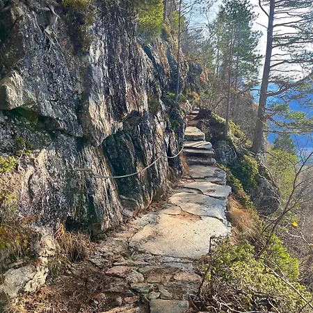 Trollveggen Проживание в семье *